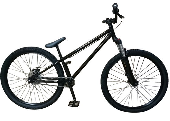 Lichte Hardtail Cross Country Bike
