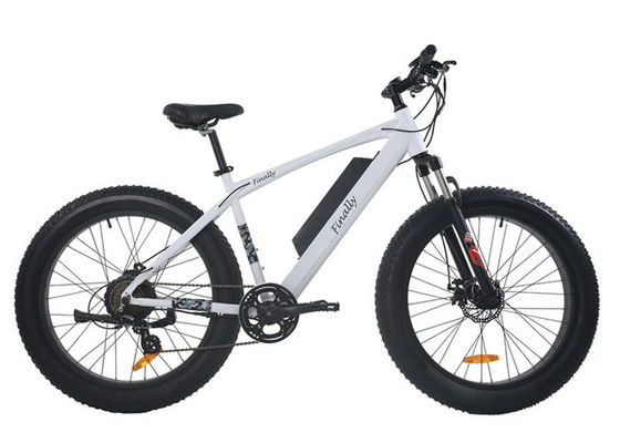 48V elektrisch sta Vette Mechanische de Schijfremmen bij van het Fiets Intelligente Controlemechanisme